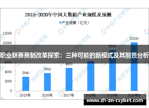 职业联赛赛制改革探索:三种可能的新模式及其前景分析 职业联赛赛制改革探索:三种可能的新模式及其前景分析
