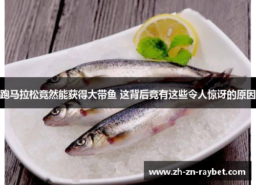 跑马拉松竟然能获得大带鱼 这背后竟有这些令人惊讶的原因