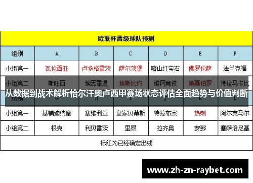 从数据到战术解析恰尔汗奥卢西甲赛场状态评估全面趋势与价值判断